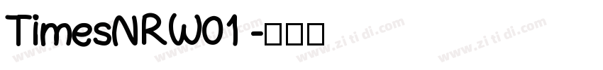 TimesNRW01 字体转换
